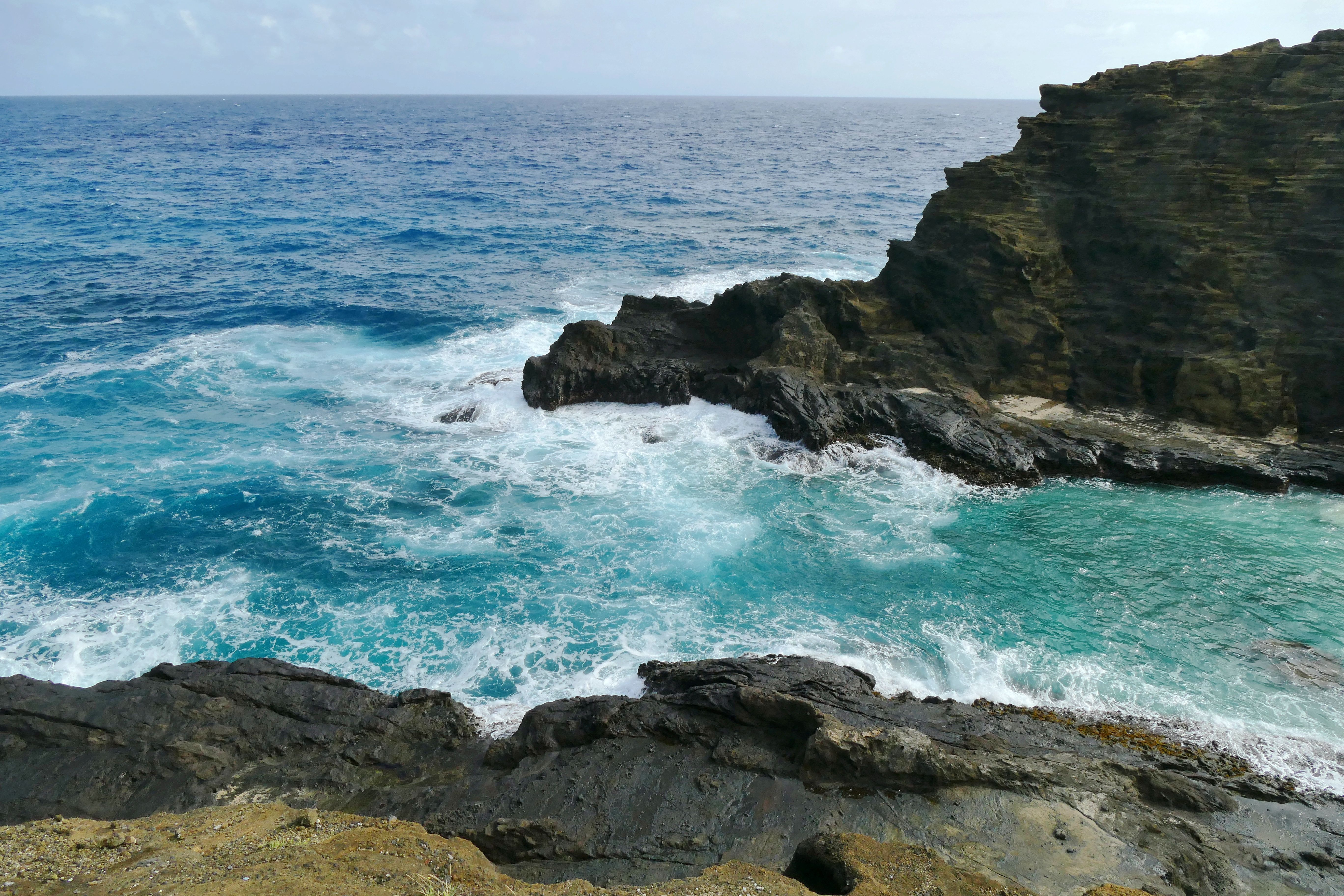 夏威夷海湾(三)