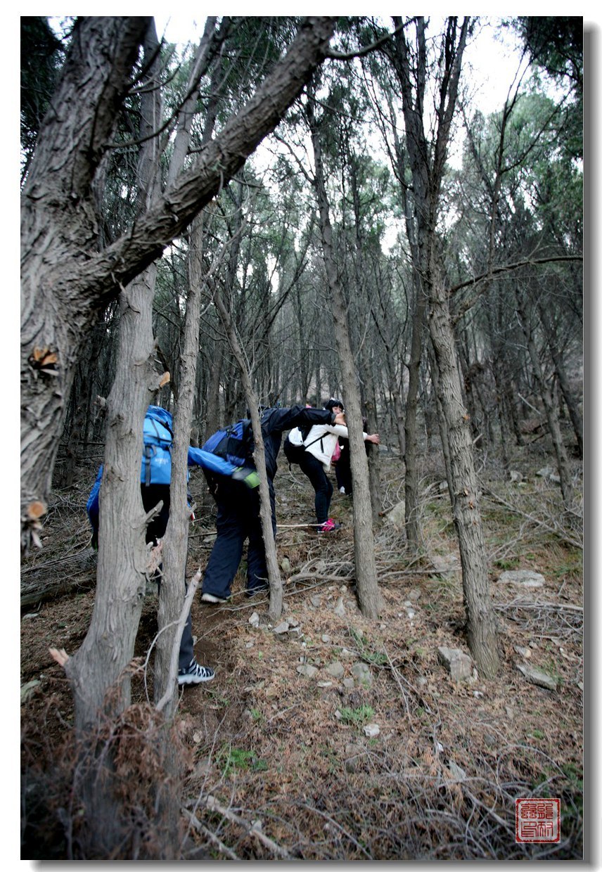 【险、奇、秀、幽的济南大寨山 (7) 摄影图片】