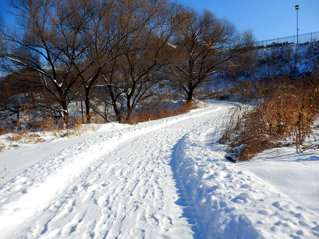 山村雪影