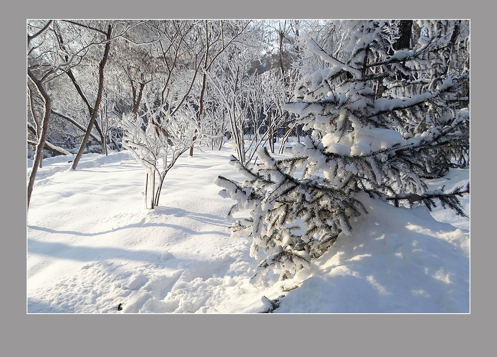 【雪上加霜】——乌鲁木齐"水磨沟公园"