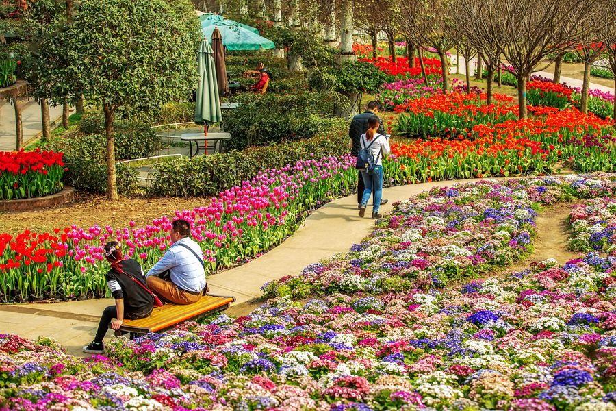 花舞人间