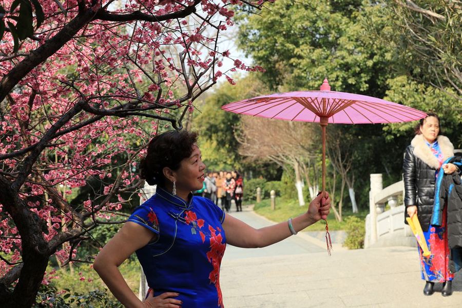 依此献给"三八妇女节"祝节日快乐