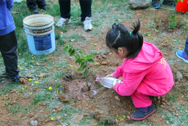 【广场社区联合小太阳幼儿园开展我和小树同成