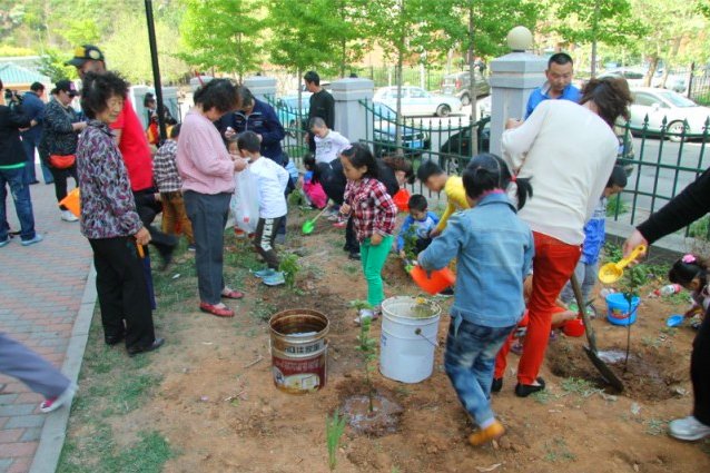 广场社区联合小太阳幼儿园开展我和小树同成长植树节教育活动