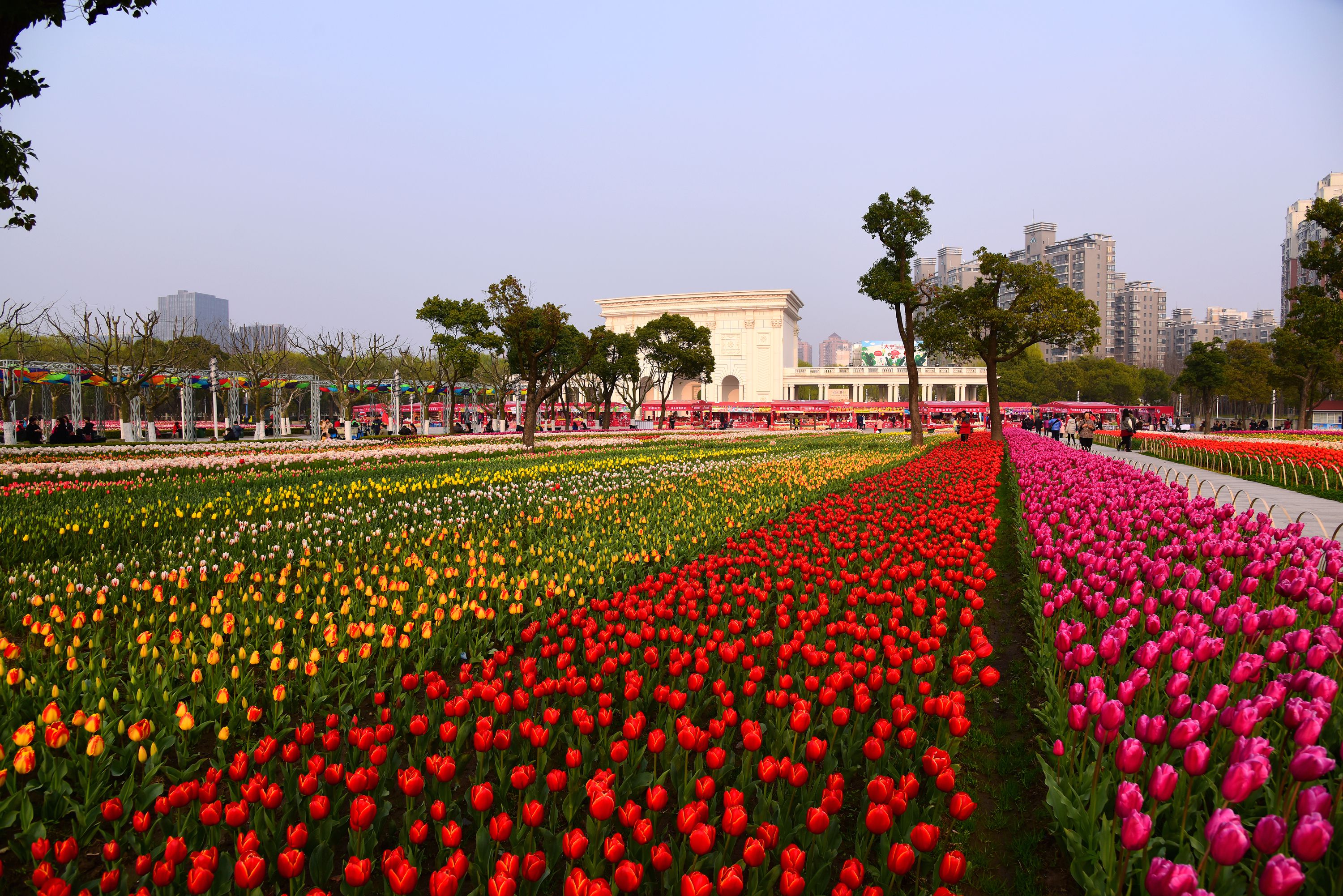 上海大宁郁金香公园赏花