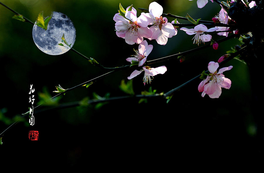 花好月圆