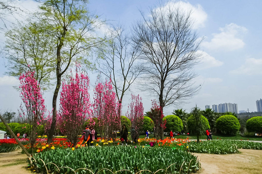 花开春天来