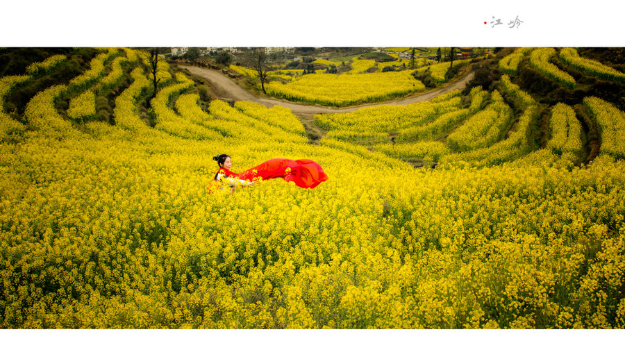 油菜花人像