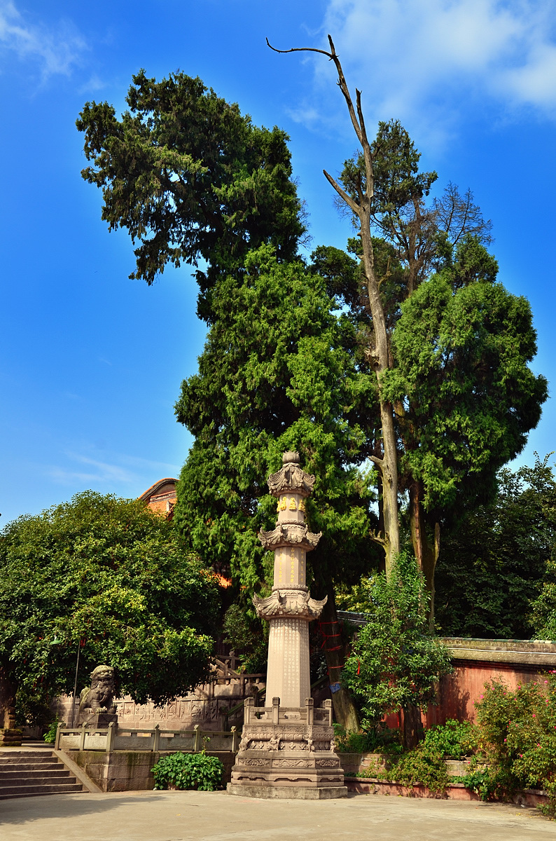 金堂古天宫寺 (共p)