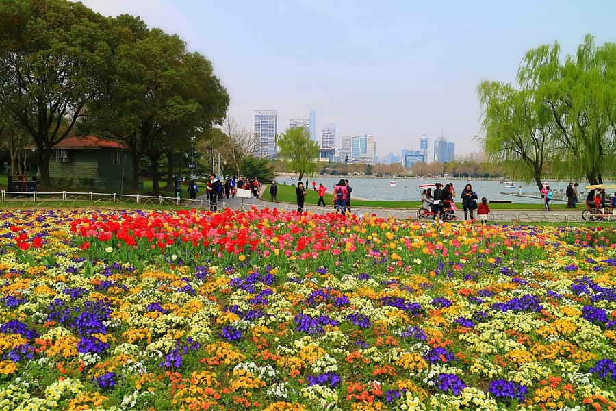 上海世纪公园1