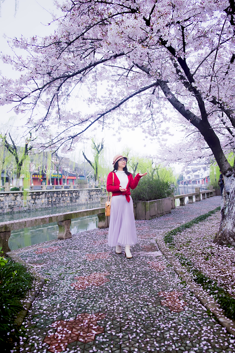 【享受樱花雨摄影图片】人像摄影