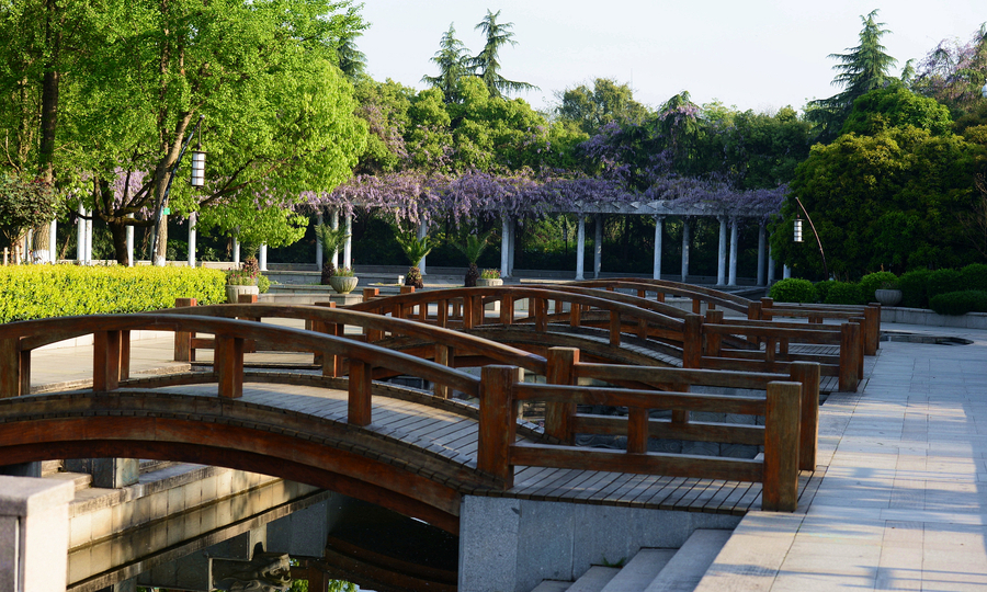杭州花圃随拍(1)