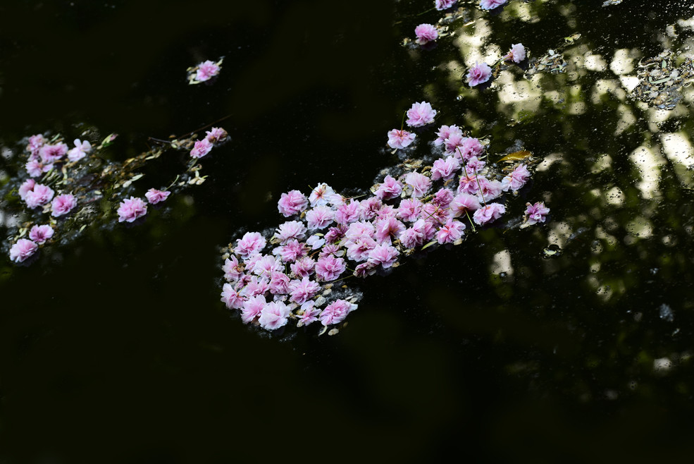 落花流水