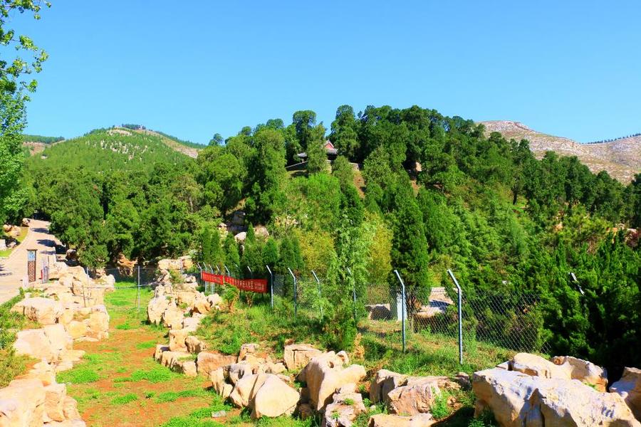 孔子圣地,曲阜尼山