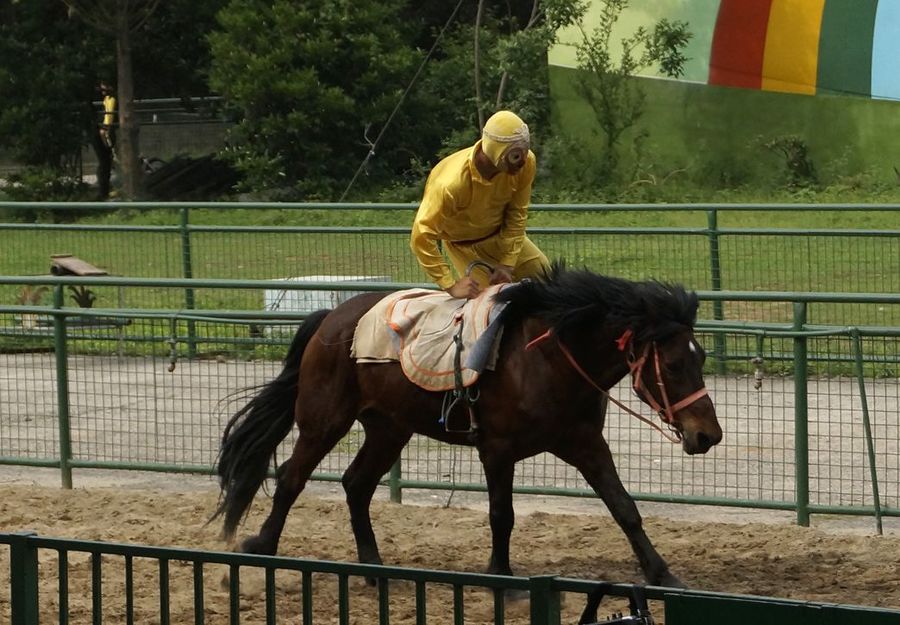 骑马表演