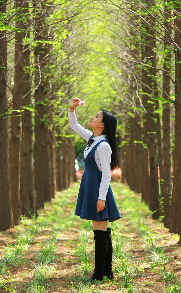 樱花树下