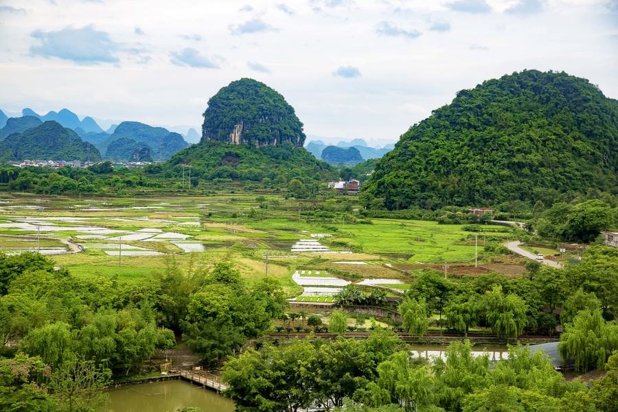 翠屏山水田