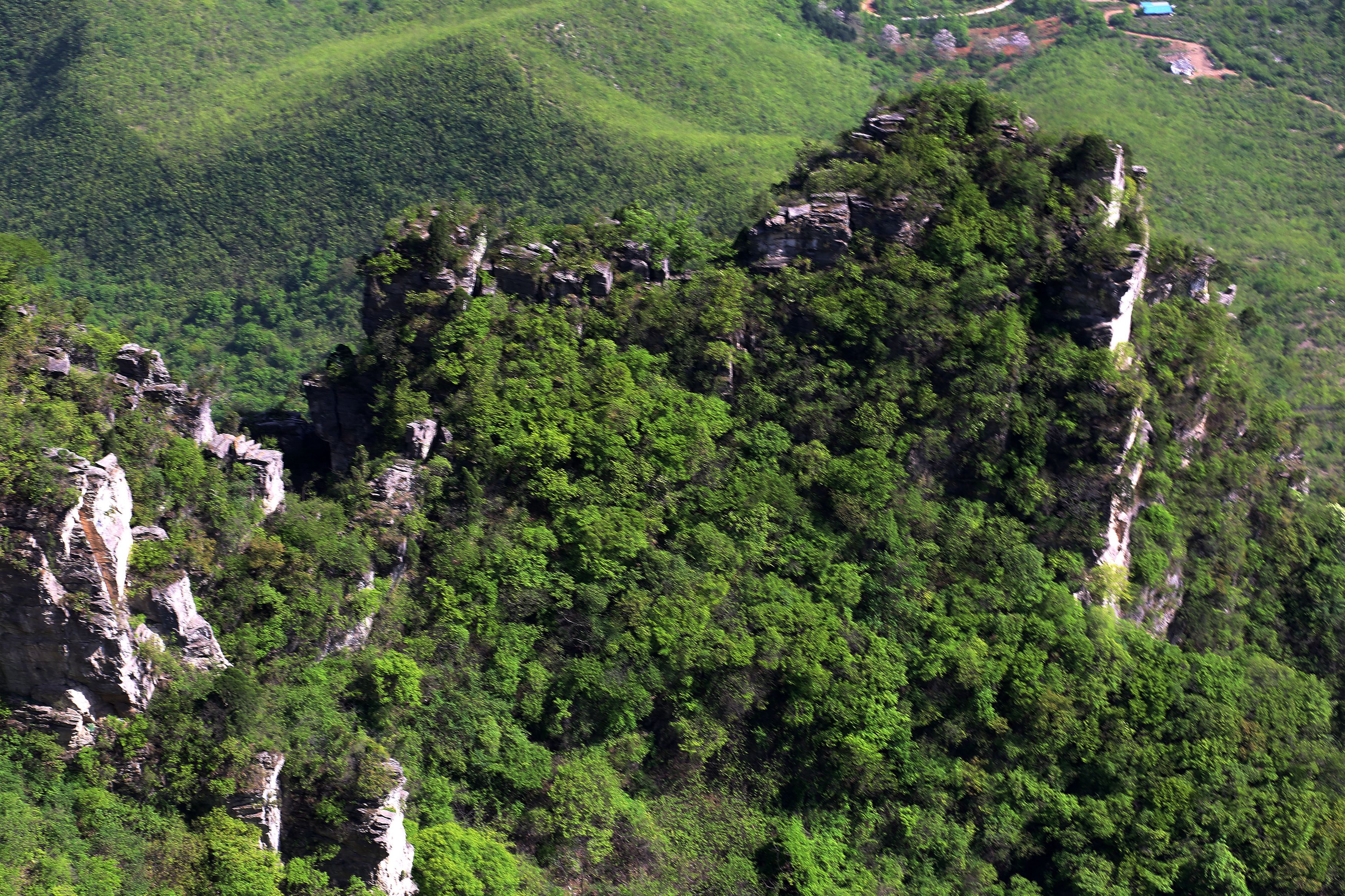 走进云台山最高峰"茱萸峰".