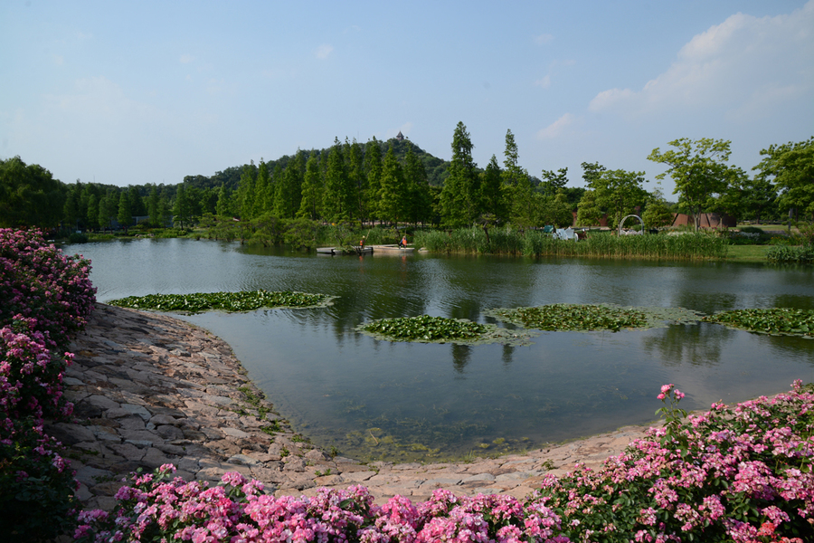 辰山植物园