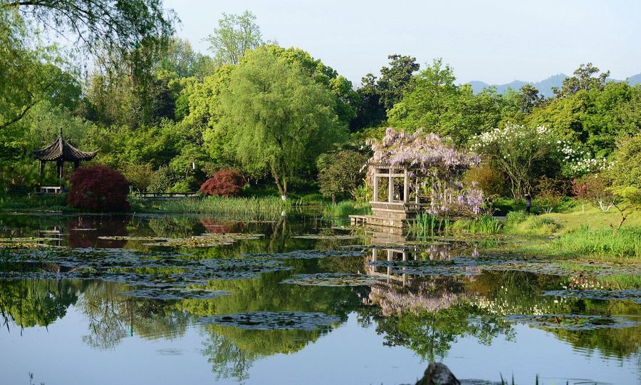 杭州花圃拍摄(一)