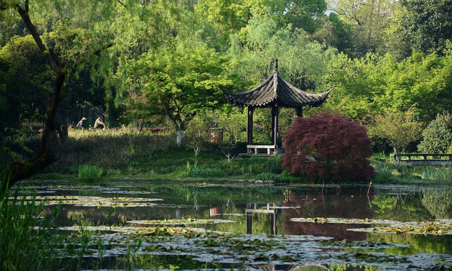杭州花圃拍摄(一)