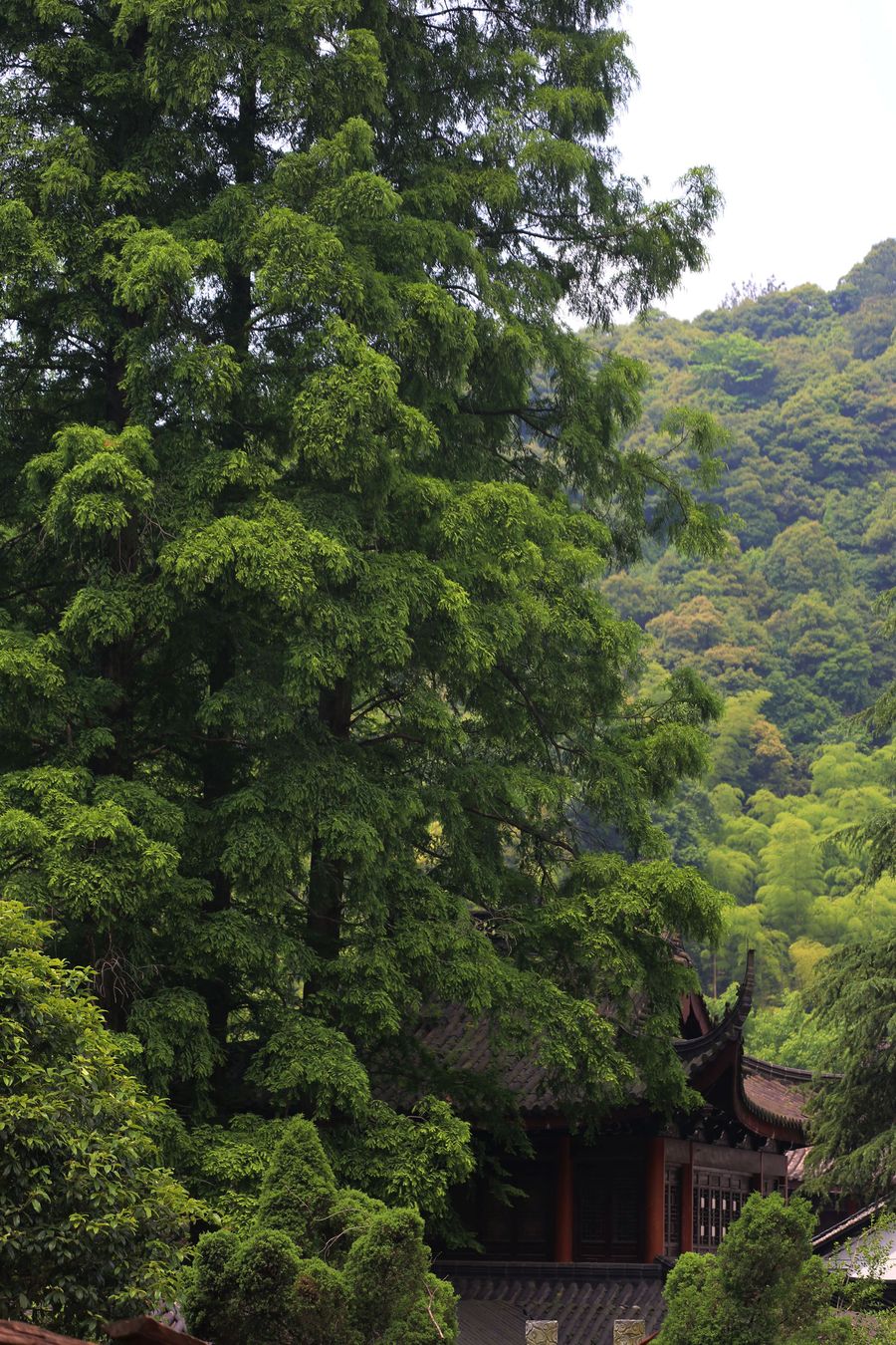 走进安吉灵峰山上灵峰寺