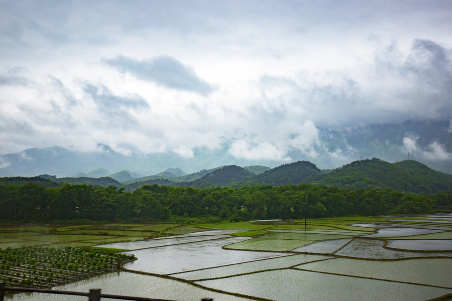 山雨欲来