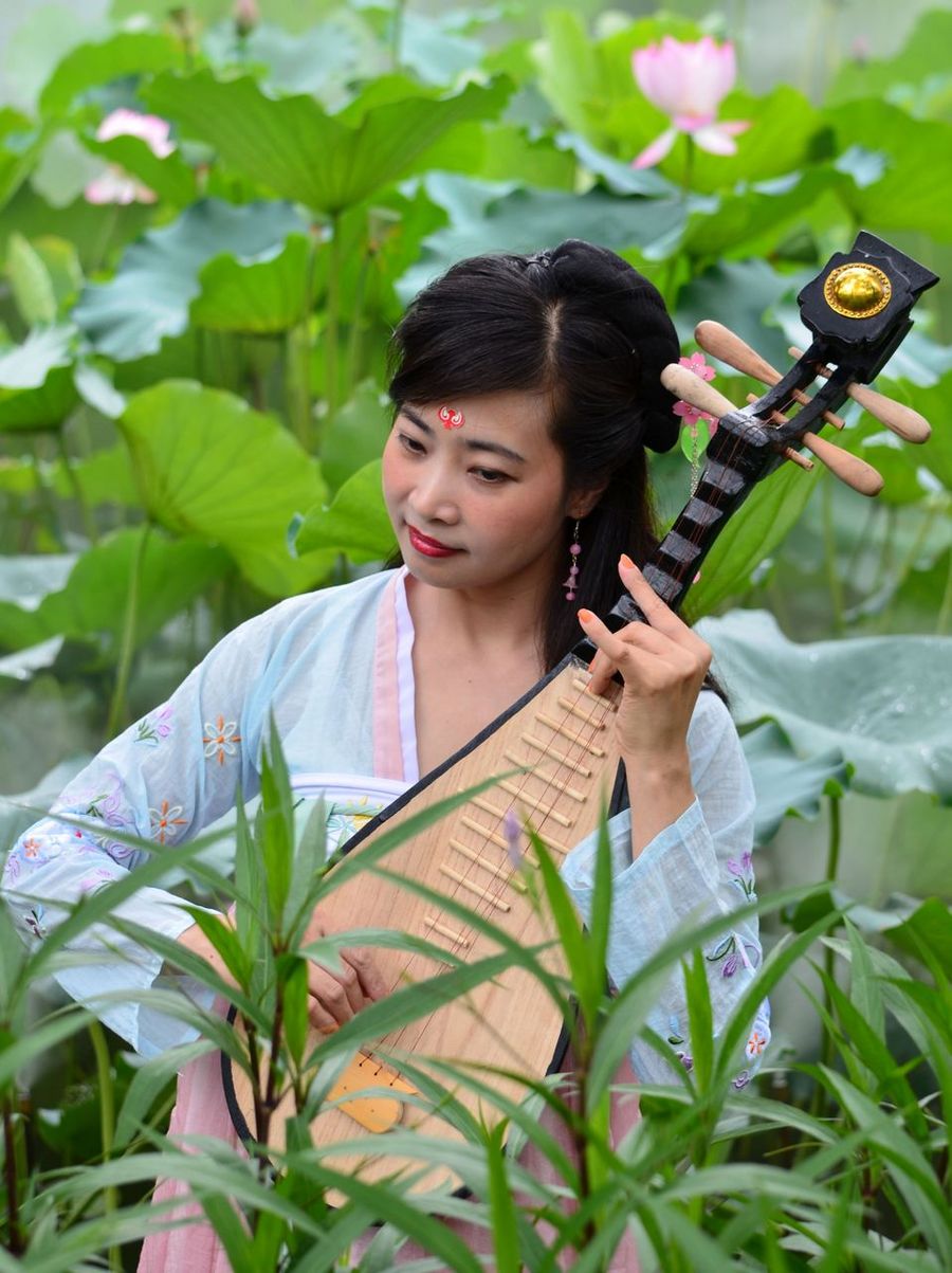荷花仙子