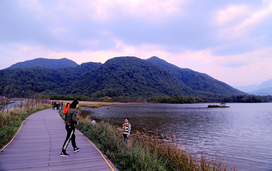 暮色湿地风光﹝大九湖囯家湿地公园 