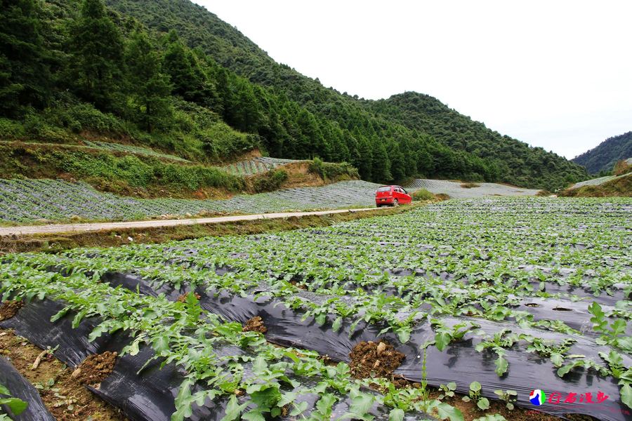 唐王坝随拍