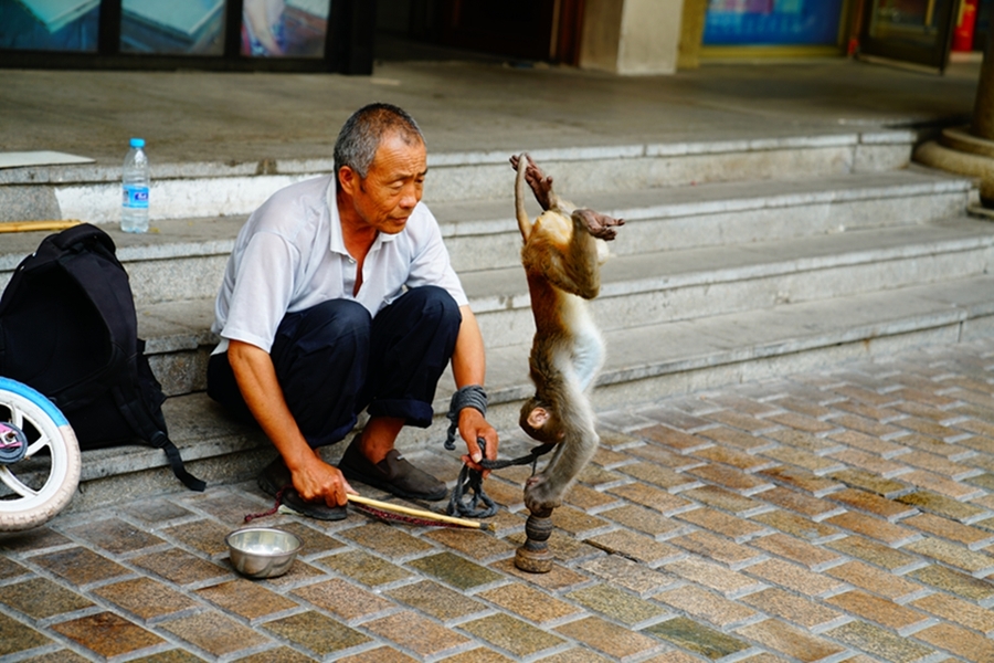 耍猴人