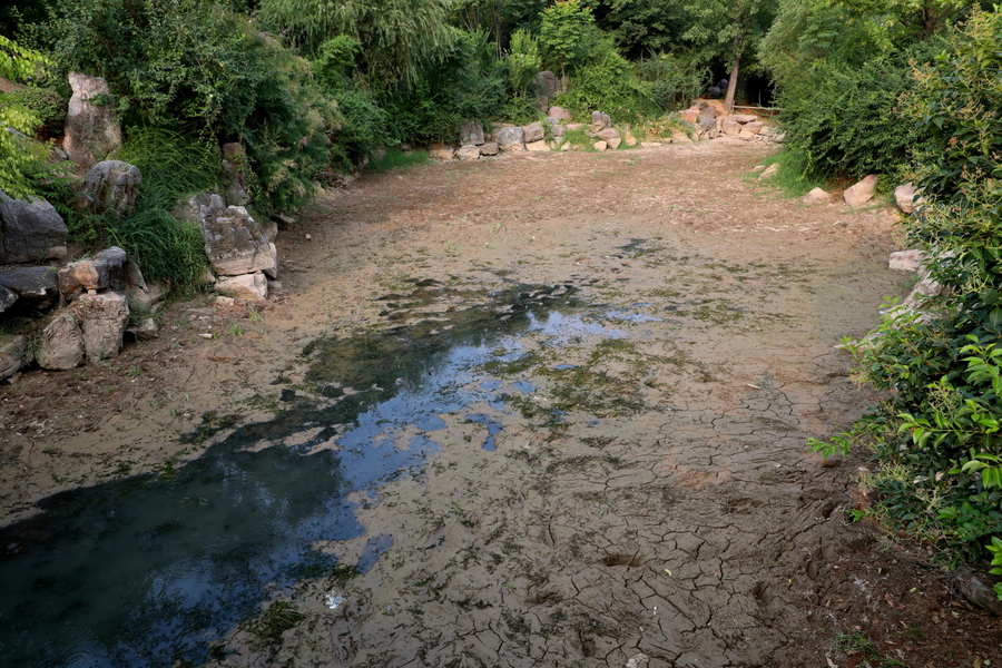 大河没水小河干