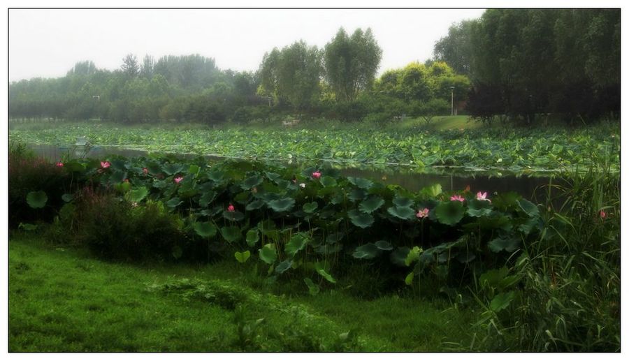 雨后清晨