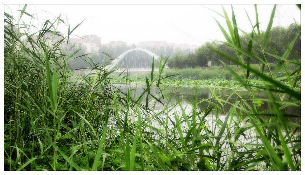 雨后清晨