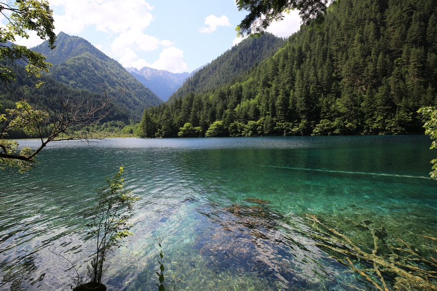 美丽的九寨沟风景 (共p)
