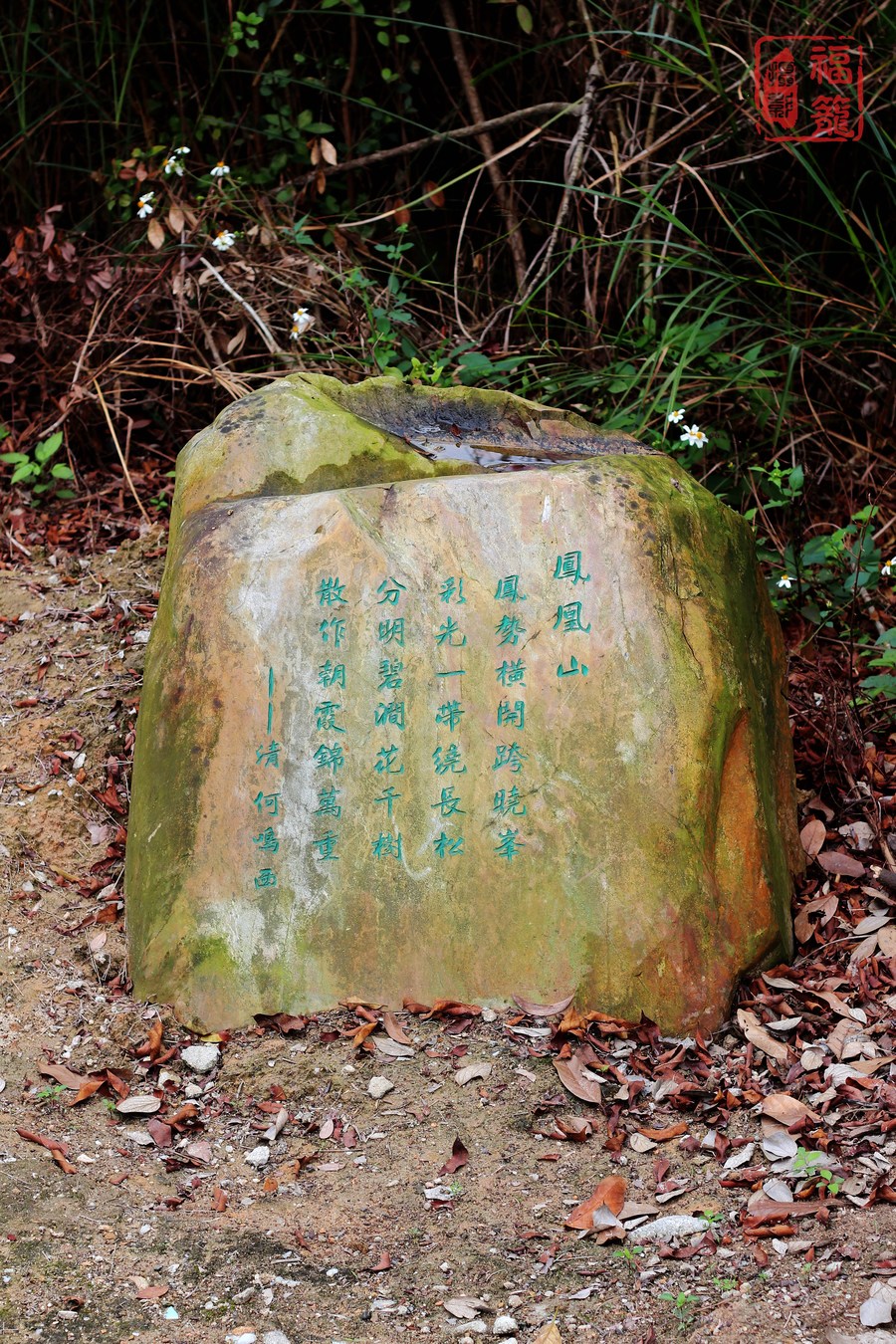 珠海中山公园的石刻