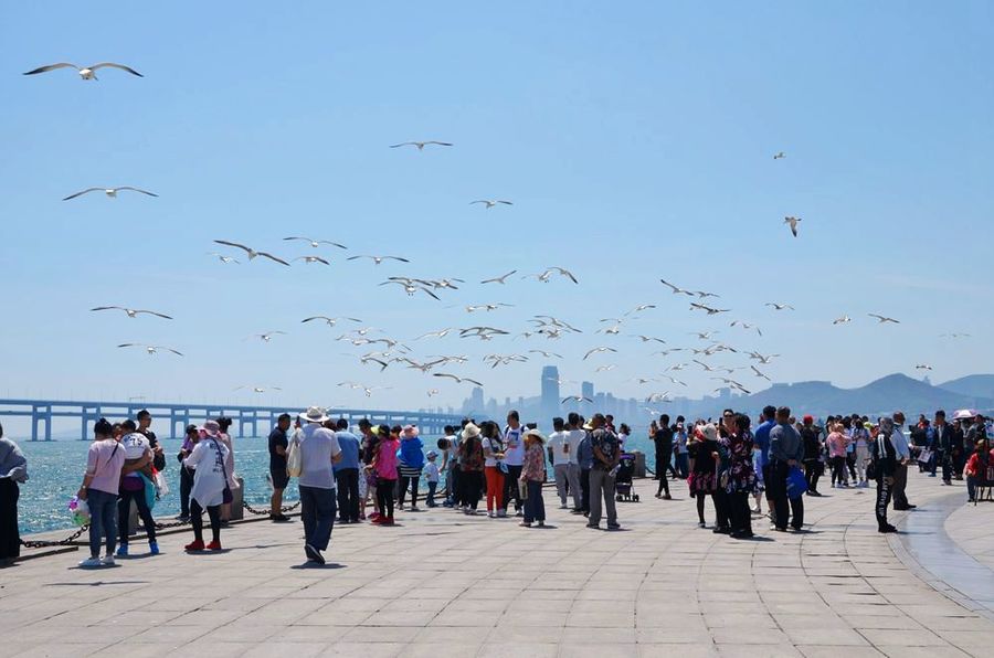 辽宁旅游图片—大连星海广场 (共 12 p)