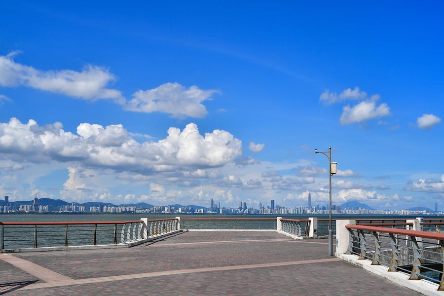 深圳蓝之深圳湾公园!