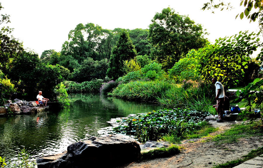 今天风凉多了,去植物园拍黄昏景. (共 10 p)