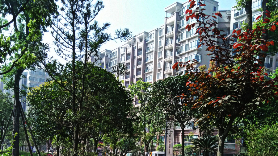 红米手机拍的小区外景