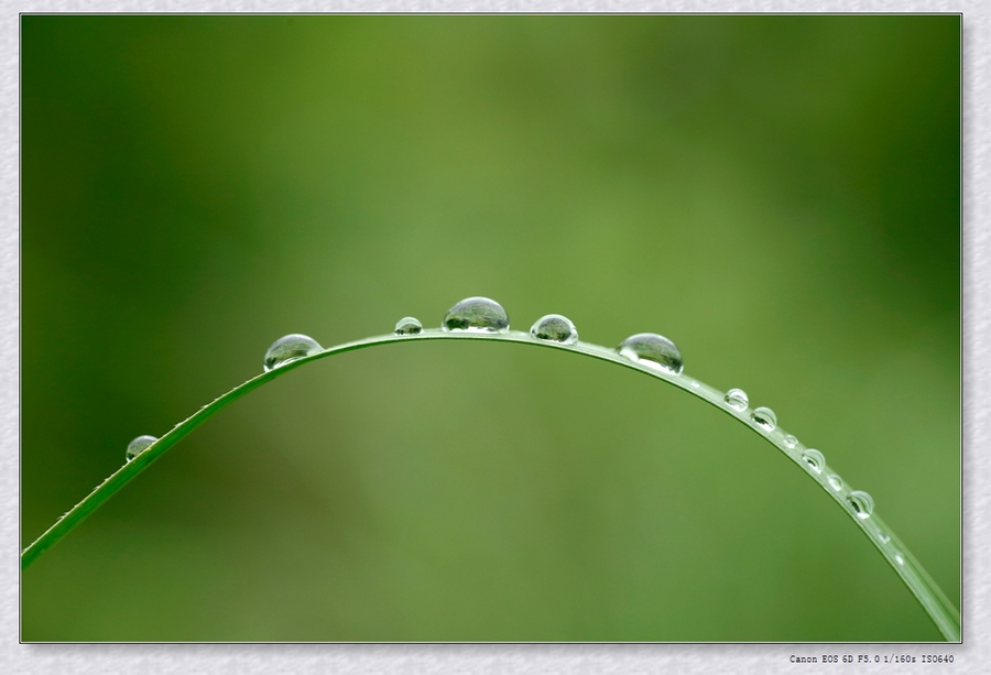 三月里的小雨