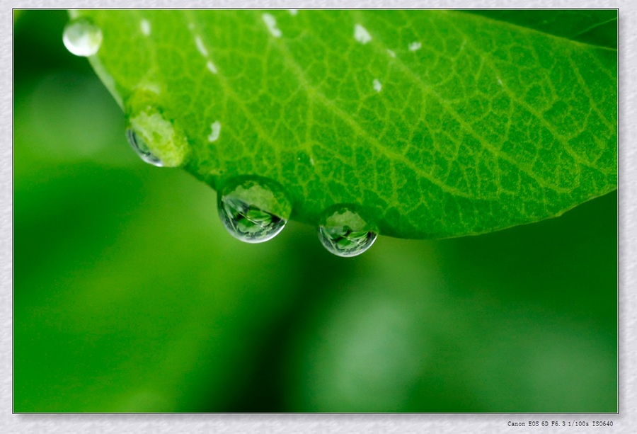 三月里的小雨