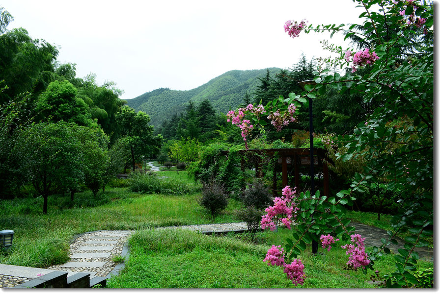 山里雨中风景