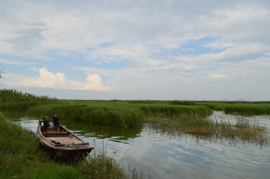 洞庭湖湿地