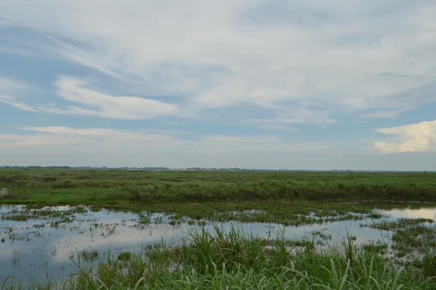 洞庭湖湿地