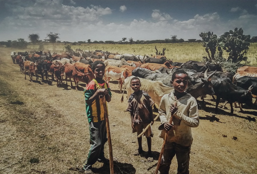 【在南京看大师摄影展《我从非洲来》下摄影图