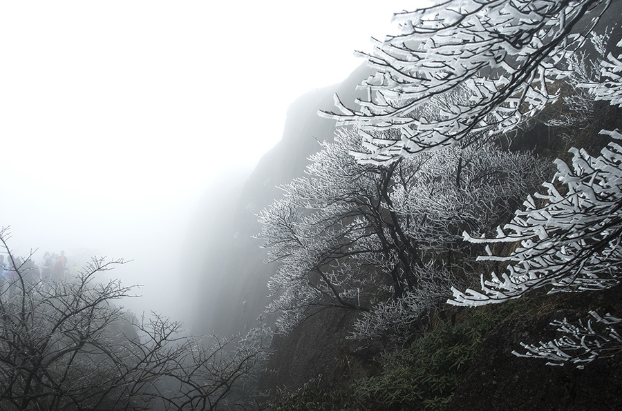 霜雾韵黄山