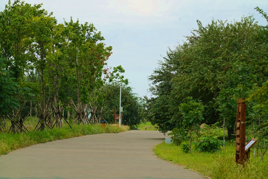 金河湾湿地植物园 (共 15 p)