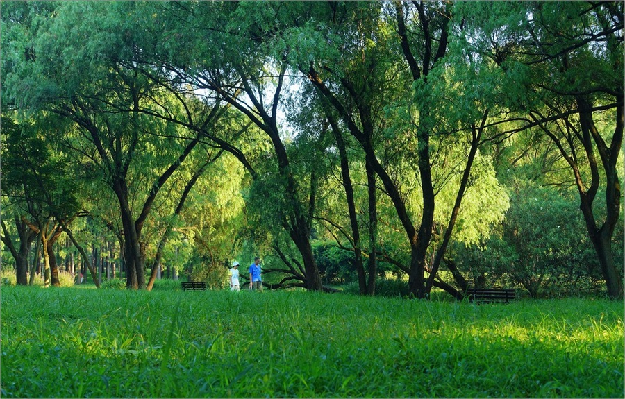 公园晨间小景