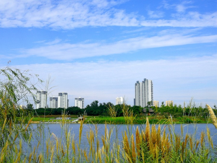 成都青龙湖湿地公园游